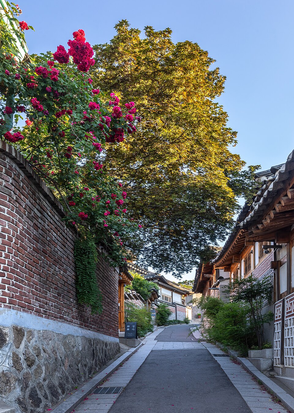 A quiet sloping alley in Bukchon, with a brick wall covered in red roses on the left and traditional tiled-roof hanok houses on the right