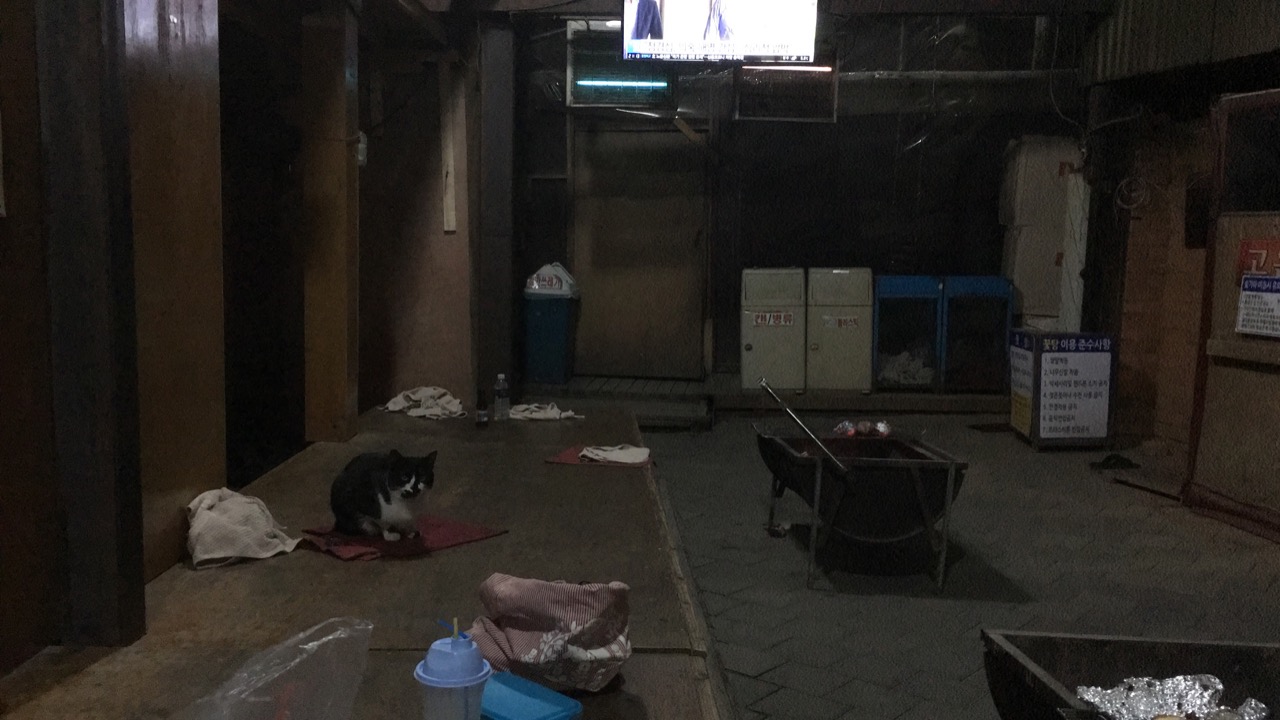 A dim kiln yard at night: a wooden platform with towels and a black-and-white cat sitting on a red mat, a charcoal brazier on the right and a TV on the wall